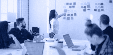 Strategic Performance 
Alignment Services